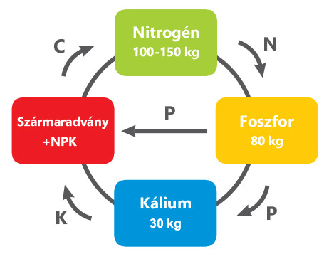 NPK körforgás AZOTER baktériumtrágyával